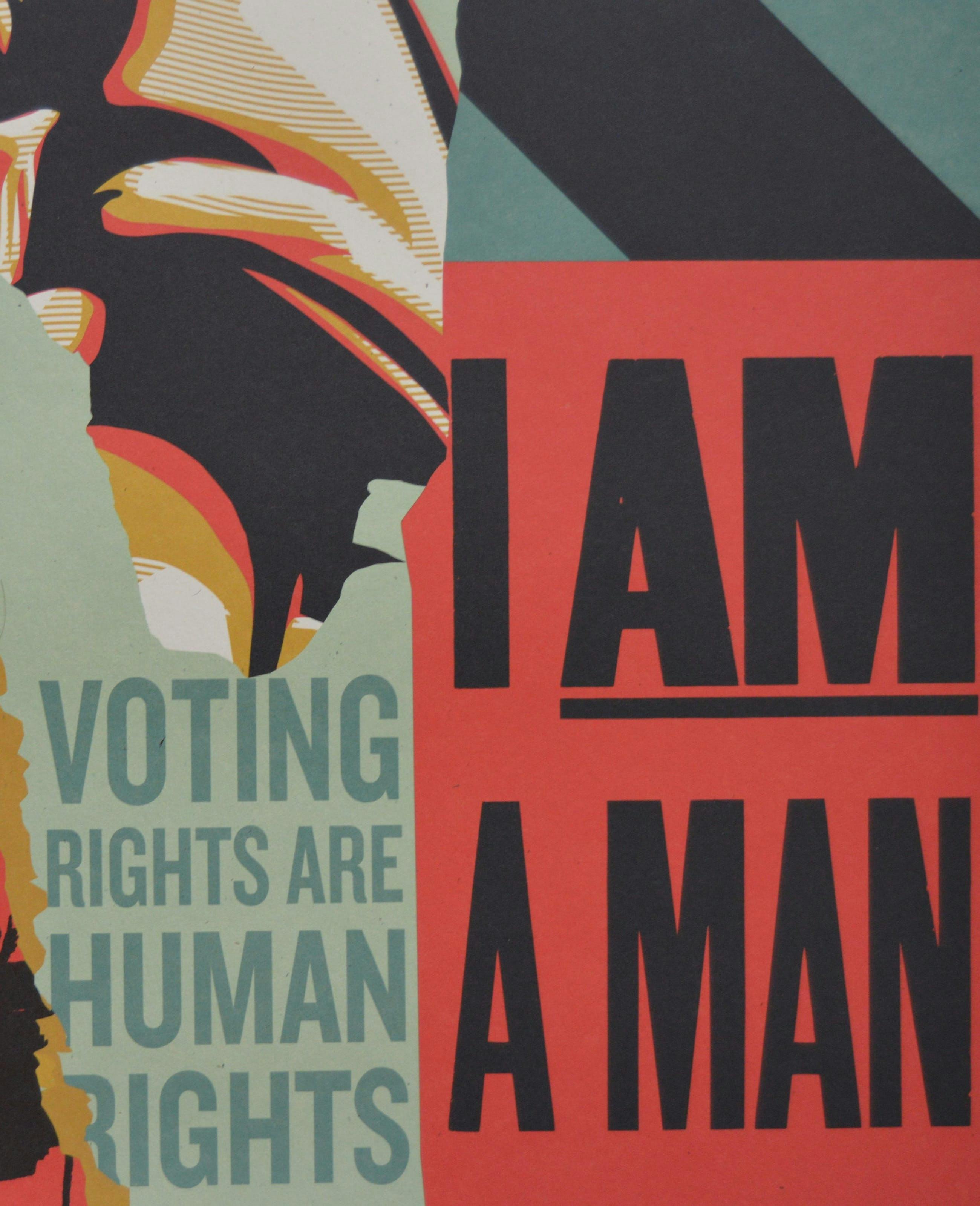 Shepard Fairey - Voting Rights Are Human Rights - gesigneerd kopen? Bied vanaf 1!